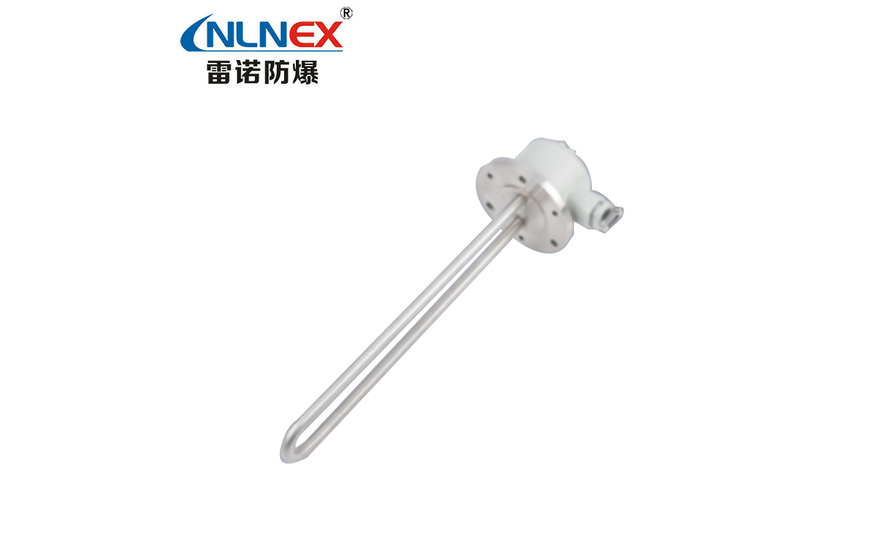 BDR52-系列防爆电加热器